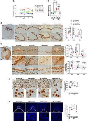 c-Abl Activation Linked to Autophagy-Lysosomal Dysfunction Contributes to Neurological Impairment in Niemann-Pick Type A Disease